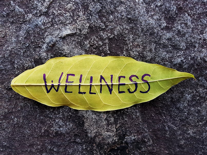 Wellness