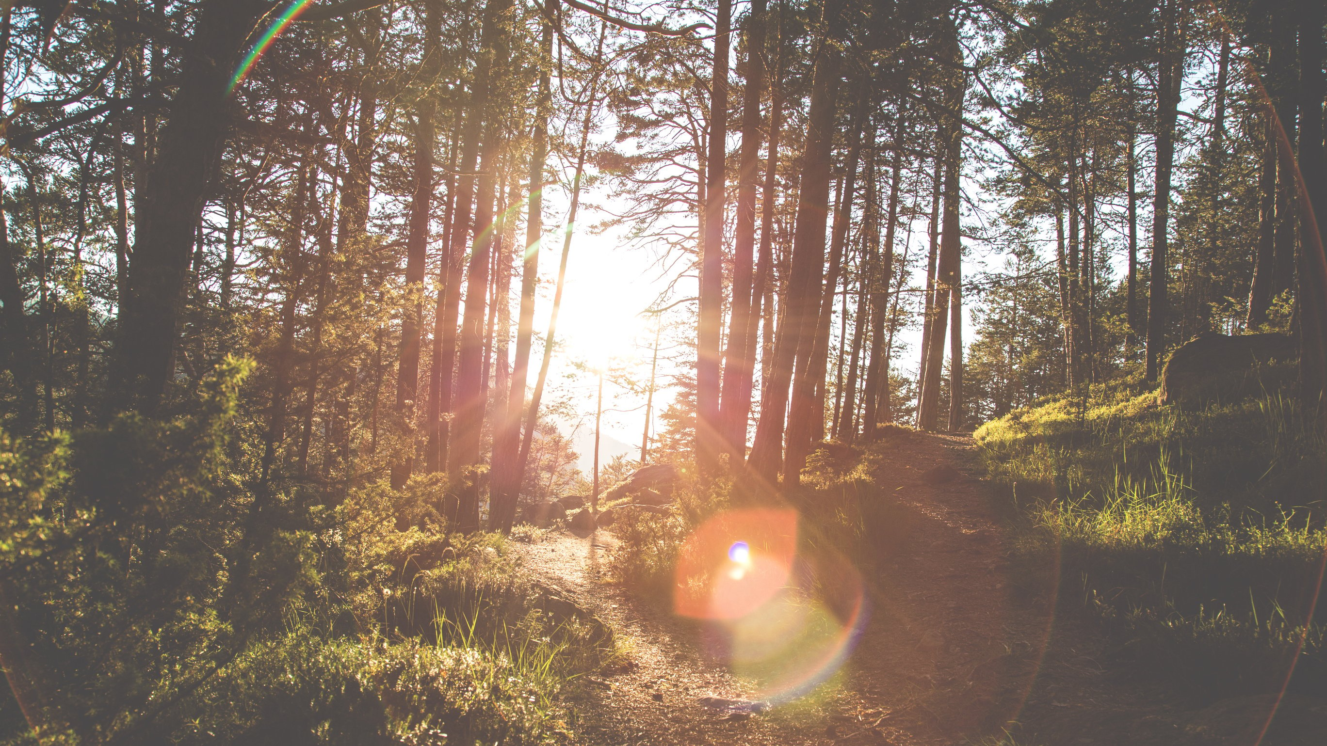 late summer walks.